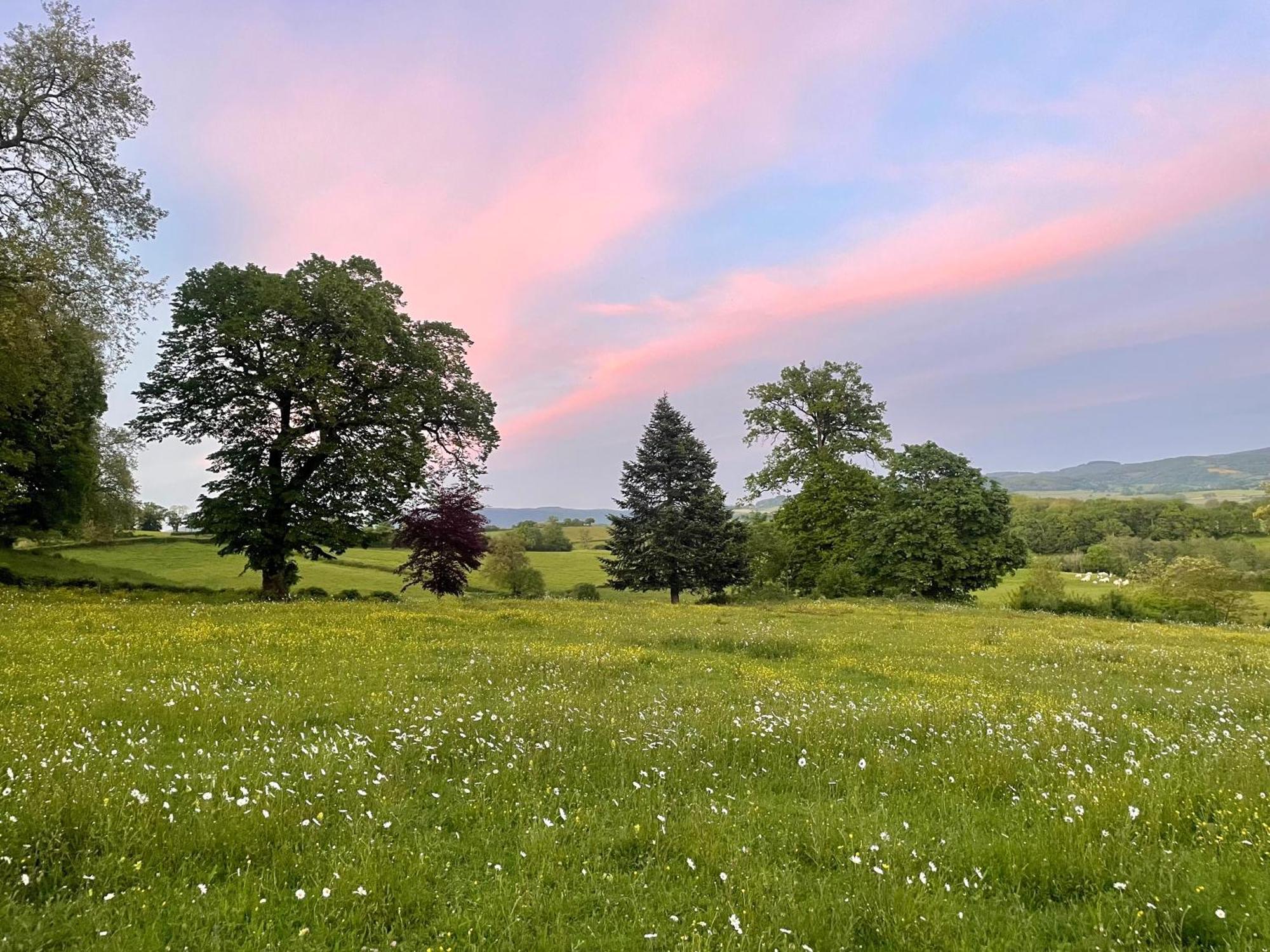 Chateau De Vaux Morvan Etang-sur-Arroux Dış mekan fotoğraf