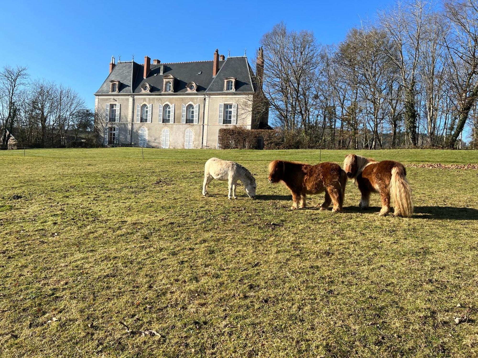 Chateau De Vaux Morvan Etang-sur-Arroux Dış mekan fotoğraf